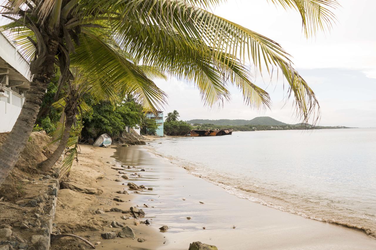 The Wave Hotel Vieques Bagian luar foto